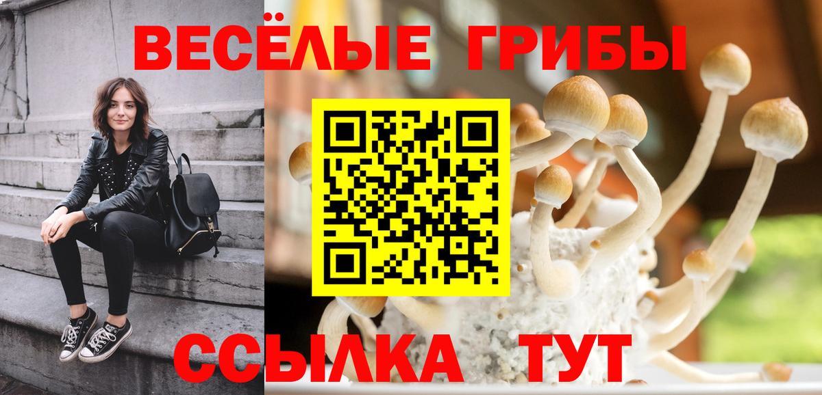 Псилоцибиновые грибы GOLDEN TEACHER Протвино