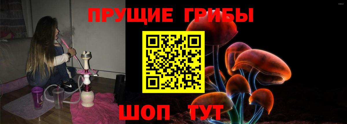 Галлюциногенные грибы Cubensis  Вход с VPN  Протвино 